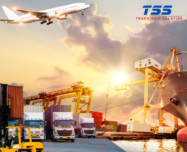 Trans Sship Solution Company Limited